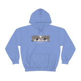 HxH Killua Hoodie